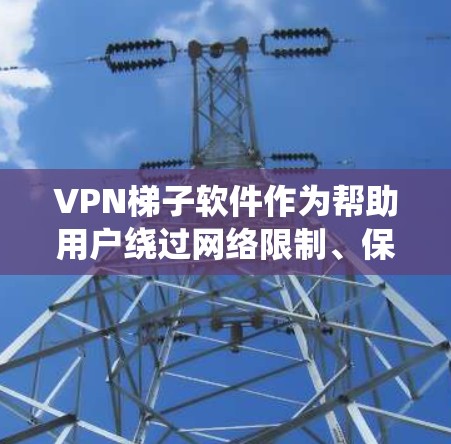 VPN梯子软件作为帮助用户绕过网络限制、保护隐私和安全的工具,市场上有多个国际品牌提供不同的服务。以下是对这些品牌的整理和分析,帮助您选择最适合的软件 VPN梯子软件作为帮助用户绕过网络限制、保护隐私和安全的工具,市场上有多个国际品牌提供不同的服务。以下是对这些品牌的整理和分析,帮助您选择最适合的软件