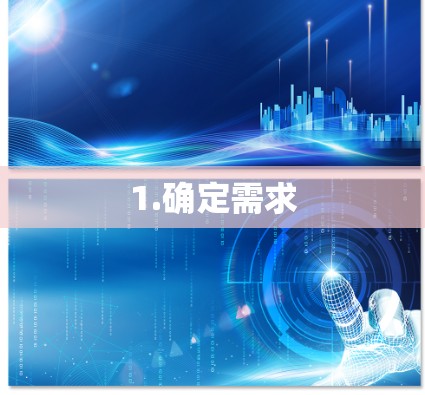 1.确定需求