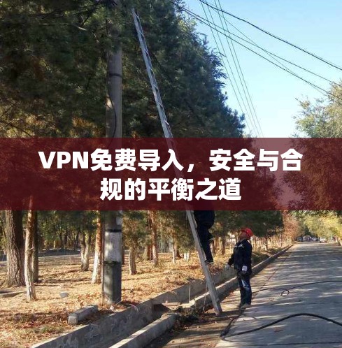 VPN免费导入，安全与合规的平衡之道